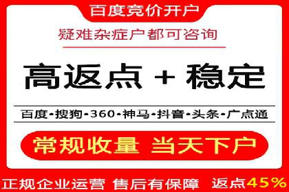 案例研究：关键词竞价排名实战经验